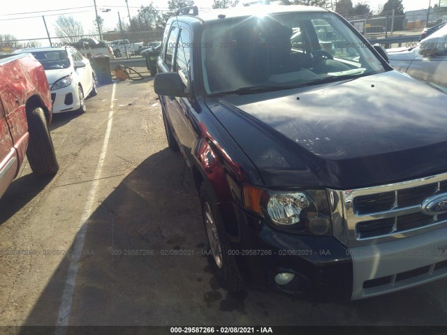 Ford Escape (2010)