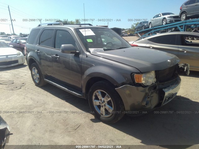 Ford Escape (2010)