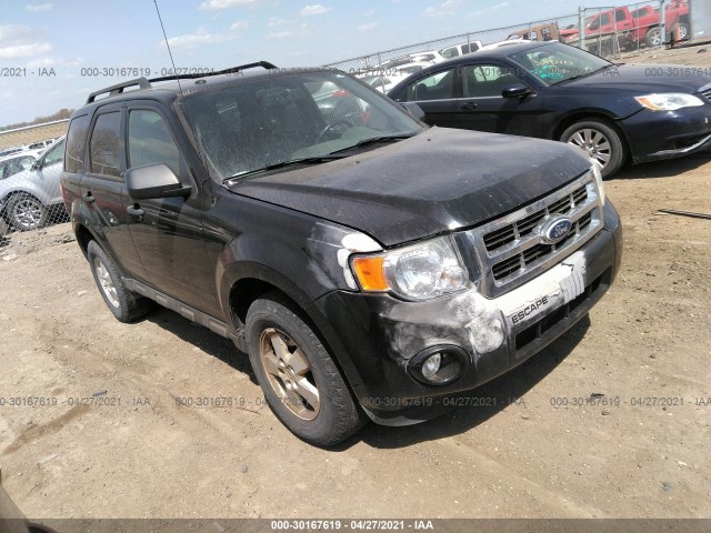 Ford Escape (2010)