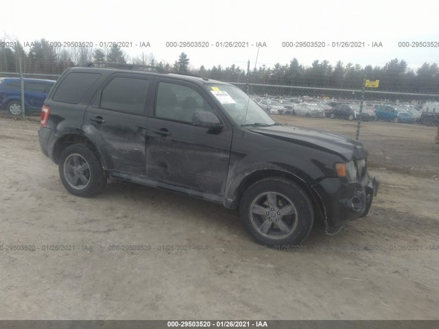 Ford Escape (2010)