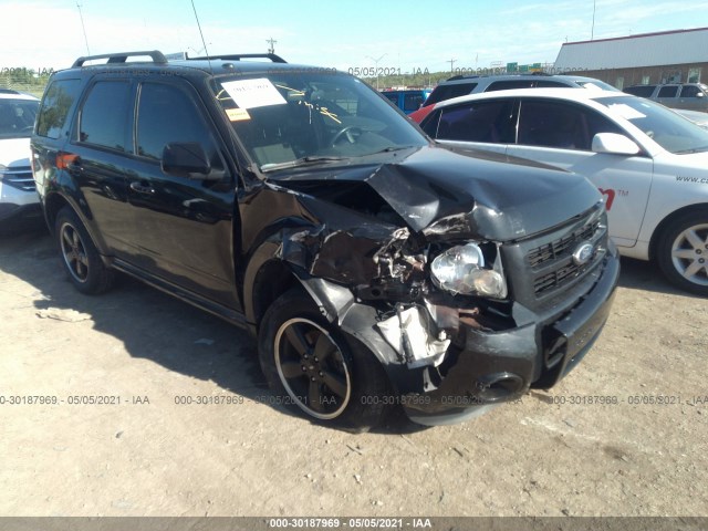 Ford Escape (2011)