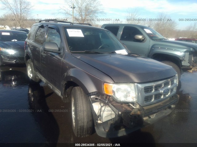 Ford Escape (2010)