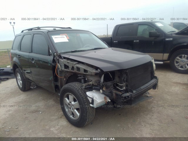 Ford Escape (2010)