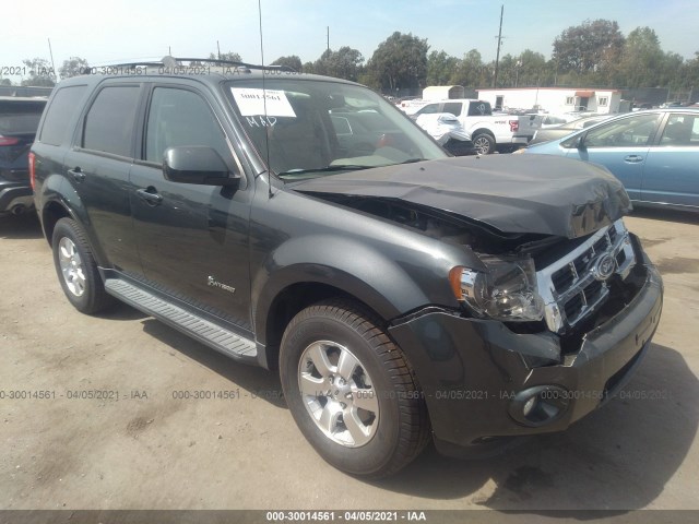 Ford Escape (2010)