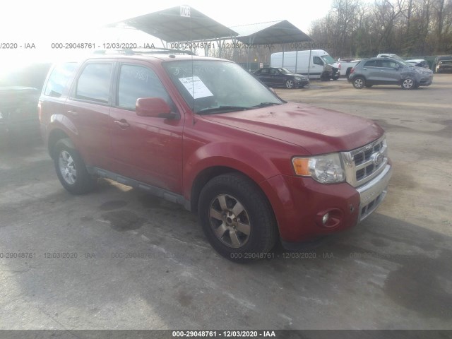Ford Escape (2010)