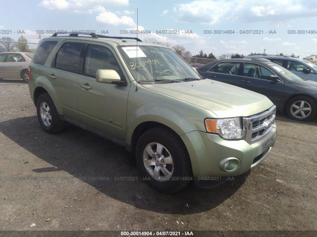 Ford Escape (2010)