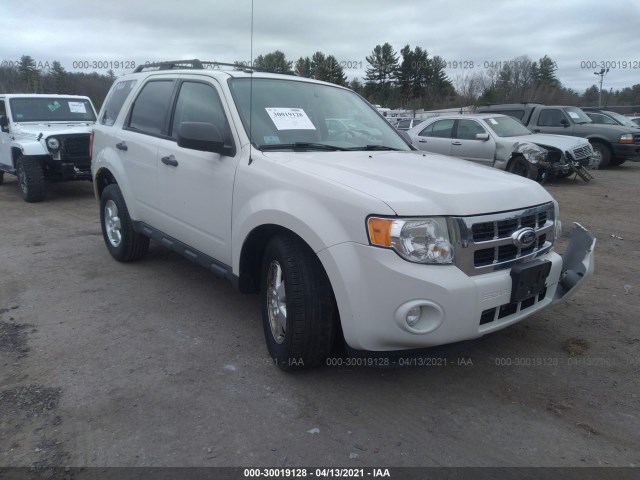 Ford Escape (2011)