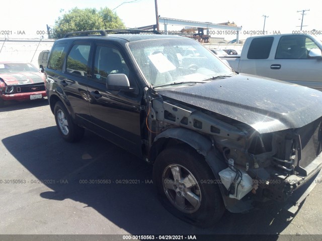 Ford Escape (2010)