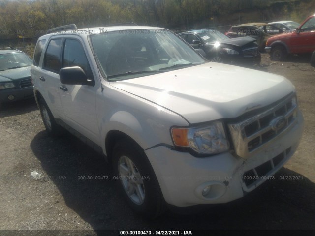 Ford Escape (2010)