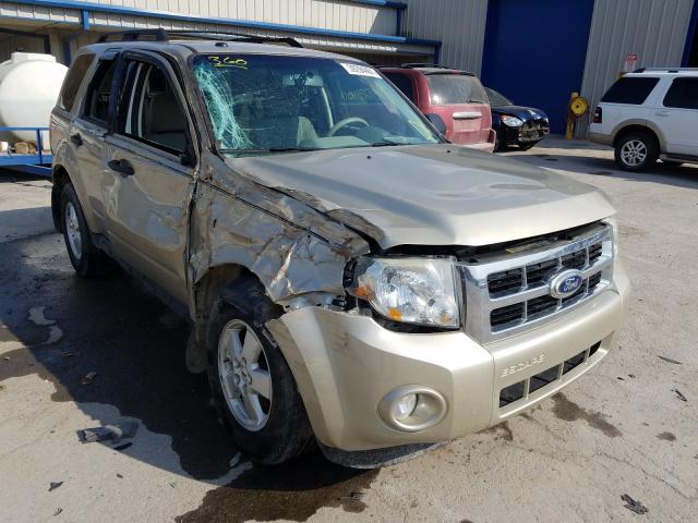 Ford Escape xlt (2010)