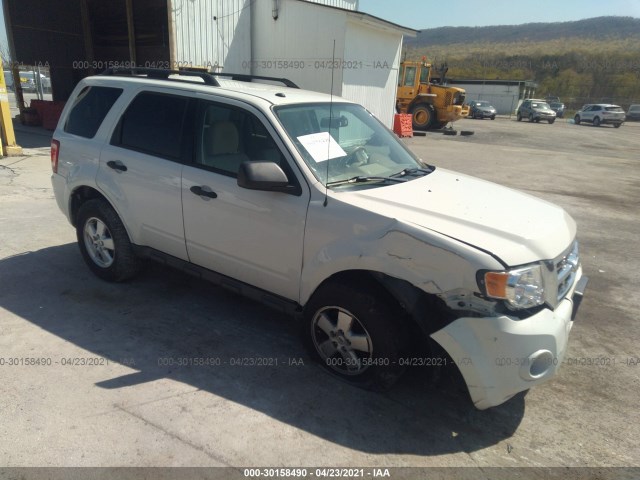 Ford Escape (2011)