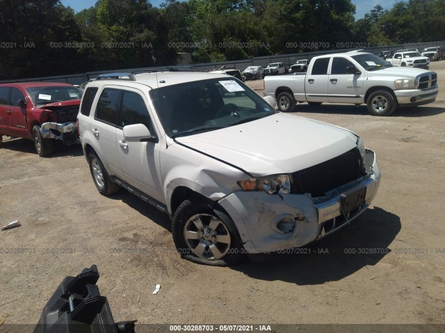 Ford Escape (2011)