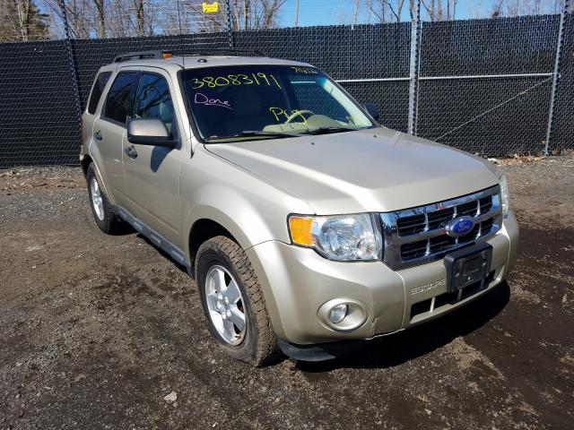Ford Escape xlt (2011)
