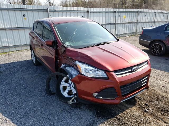 Ford Escape se (2014)