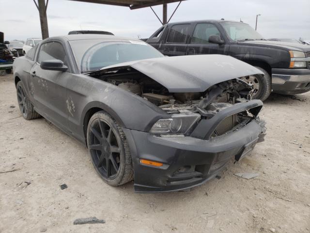 Ford Mustang (2014)