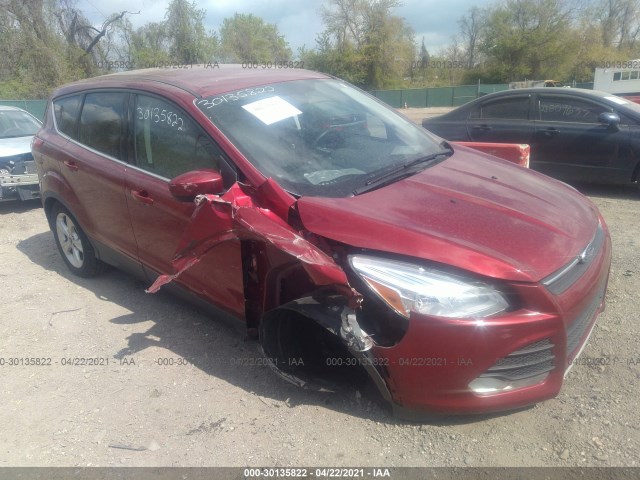 Ford Escape (2014)