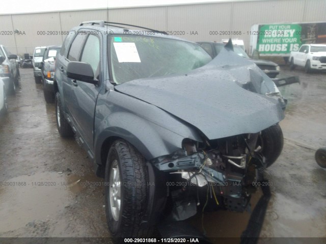 Ford Escape (2011)
