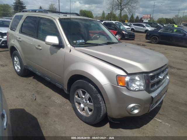 Ford Escape (2011)