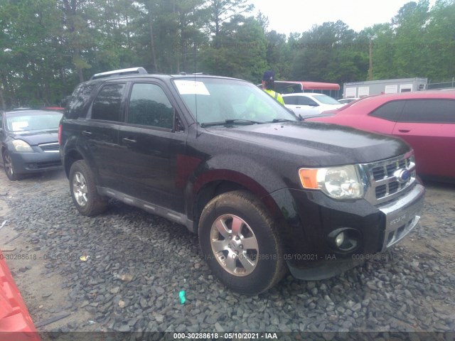 Ford Escape (2011)