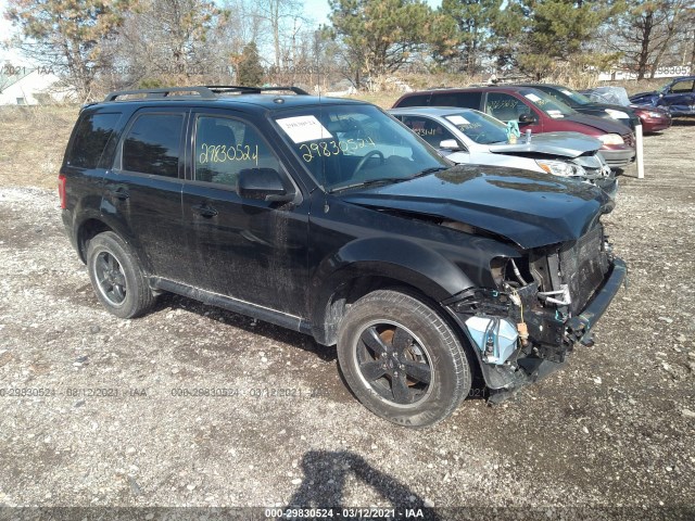 Ford Escape (2012)