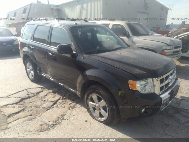 Ford Escape (2012)