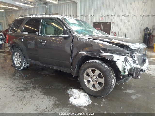 Ford Escape (2012)