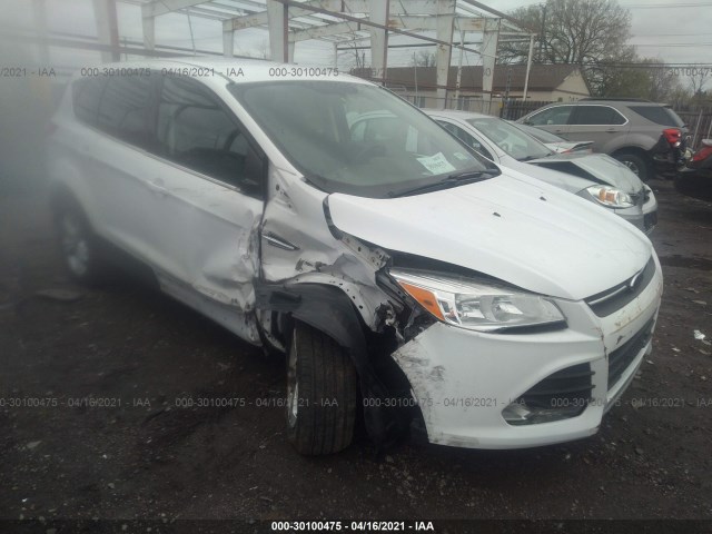 Ford Escape (2014)