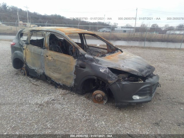 Ford Escape (2015)