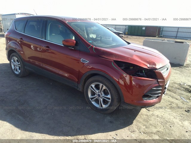 Ford Escape (2015)