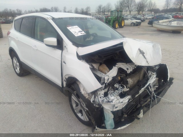 Ford Escape (2015)