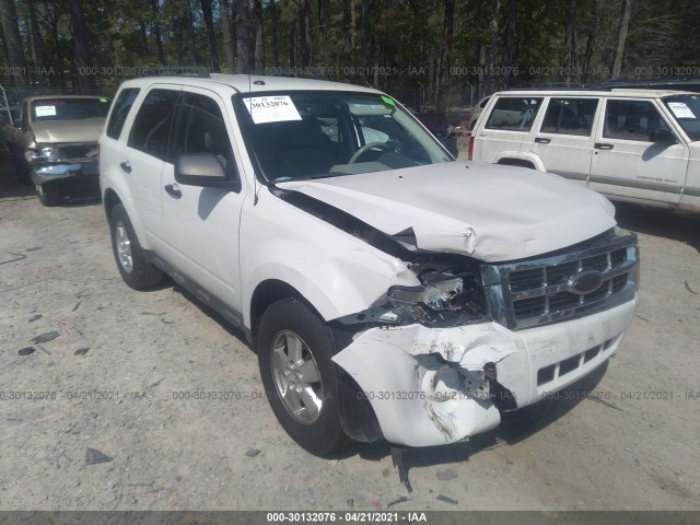 Ford Escape (2010)