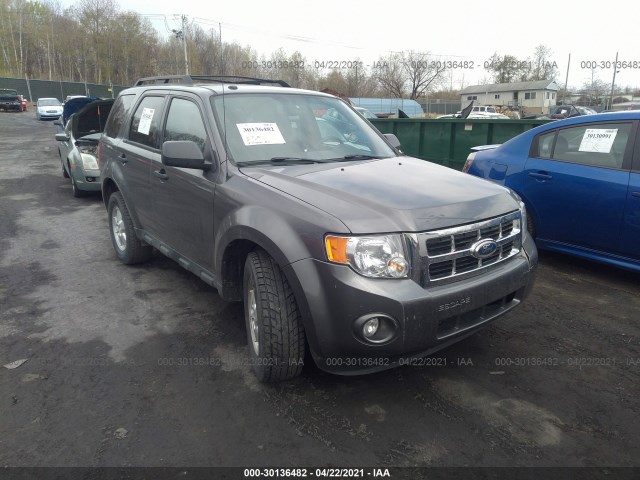 Ford Escape (2010)