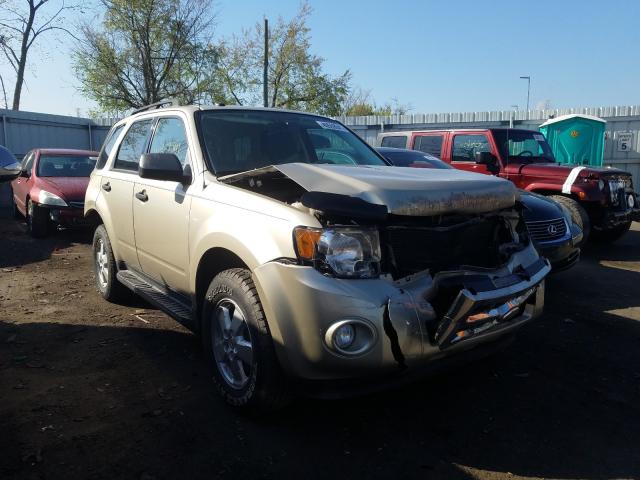 Ford Escape xlt (2010)