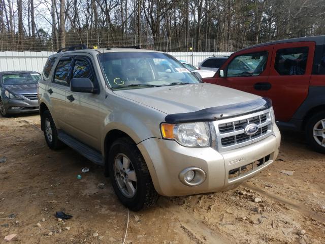 Ford Escape xlt (2010)