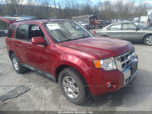 Ford Escape (2011)