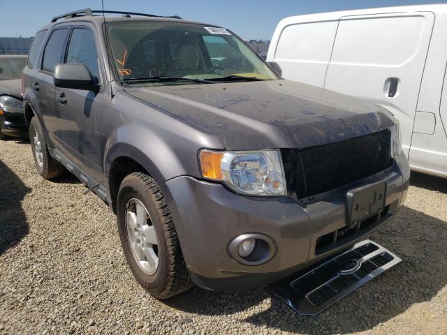 Ford Escape xlt (2011)