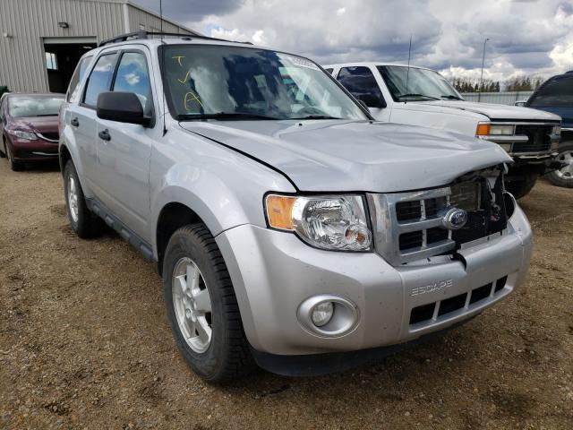 Ford Escape xlt (2011)