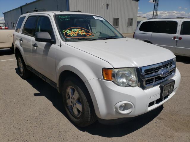 Ford Escape xlt (2011)