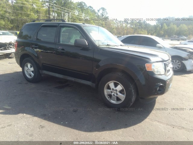 Ford Escape (2010)