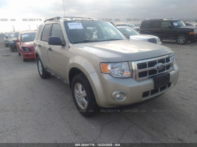 Ford Escape (2010)