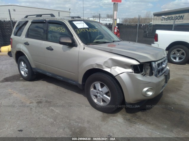 Ford Escape (2011)