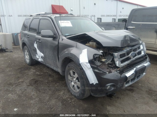 Ford Escape (2012)