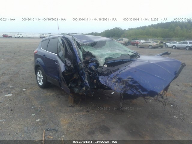 Ford Escape (2014)