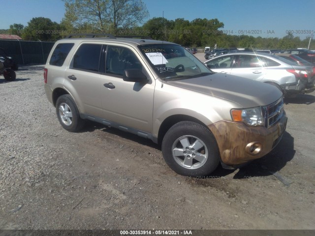 Ford Escape (2010)