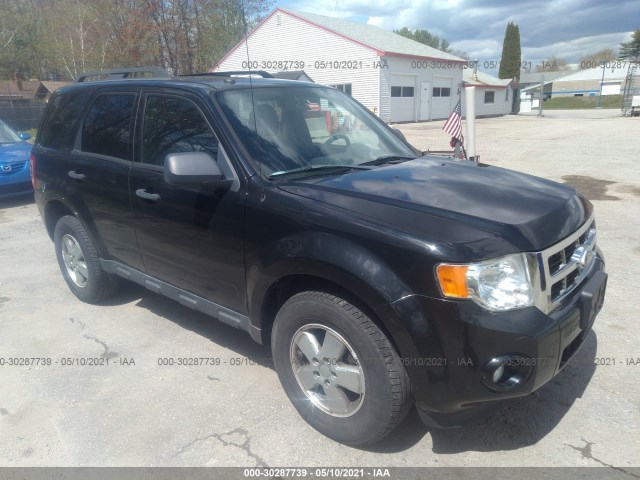 Ford Escape (2010)