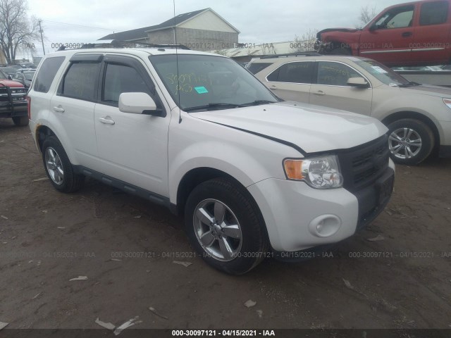 Ford Escape (2011)