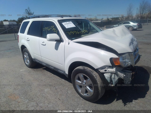 Ford Escape (2010)