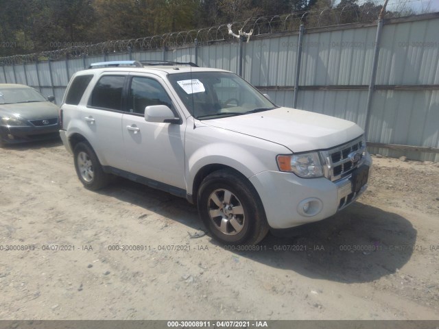 Ford Escape (2010)