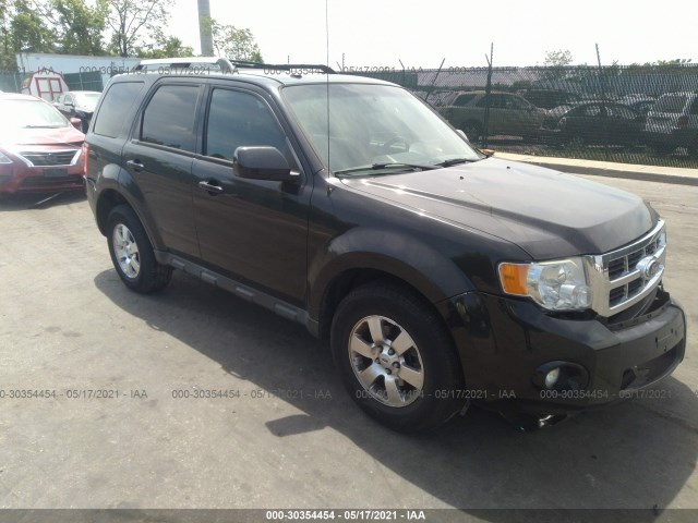 Ford Escape (2011)