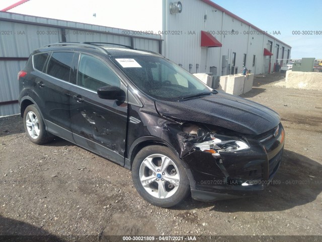 Ford Escape (2013)